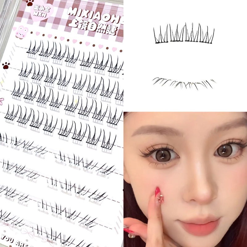 Individual Lash Tray - Mixiaohe Sheer Mixed Wispy Upper Lash