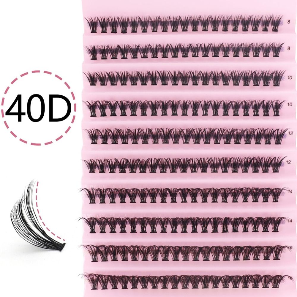 40D 8/10/12/14/16mm Individual - Individual Lash Tray review and price
